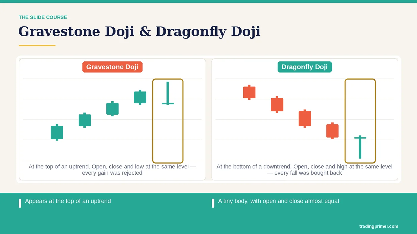 Appears at the top of an uptrend A tiny body, with open and close almost equal Almost no lower wick Appears at the bottom of a downtrend…